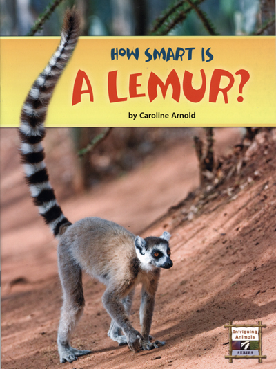 Lemurs