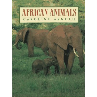 African Animals
