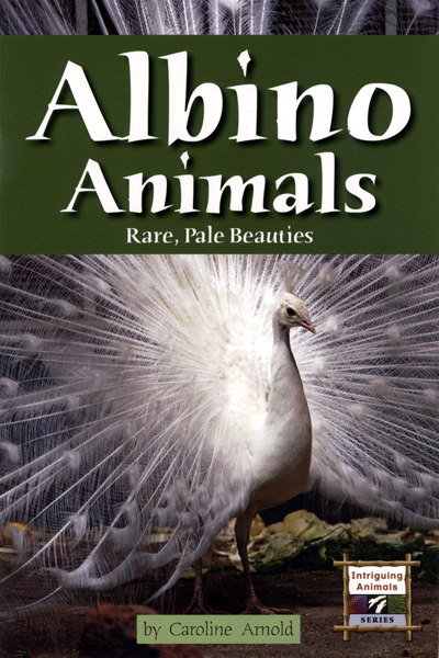 Albino Animals