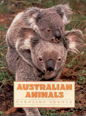 Australian Animals