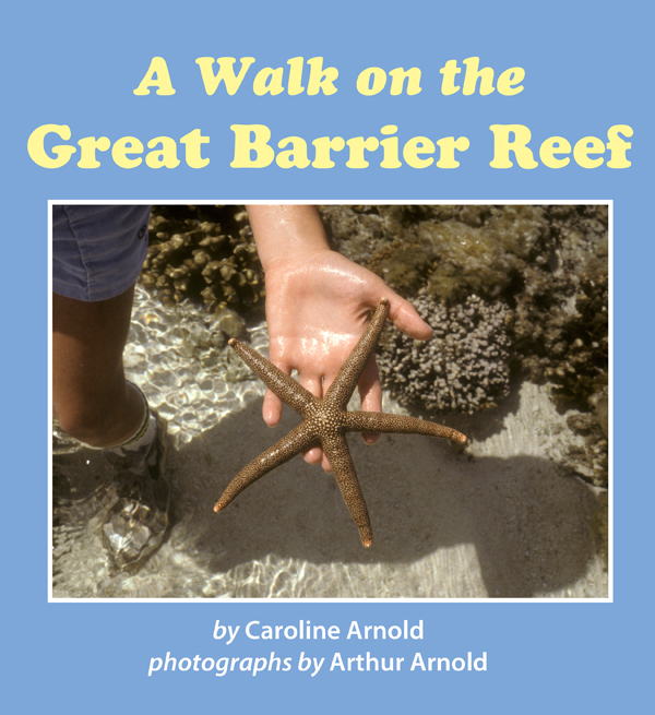 Barrier Reef