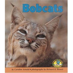 Bobcats