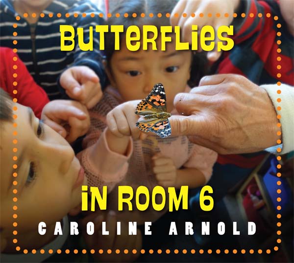 Butterflies cover