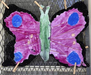 butterfly symmetry