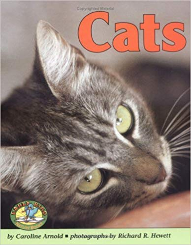 Cats