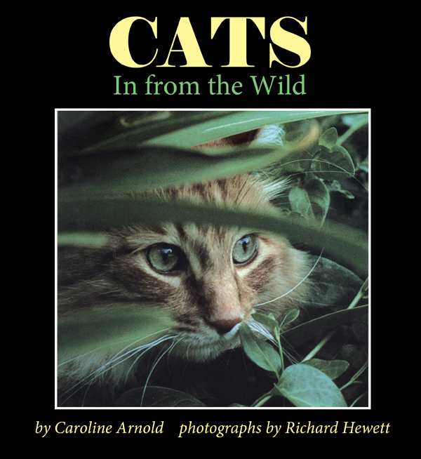 Cats