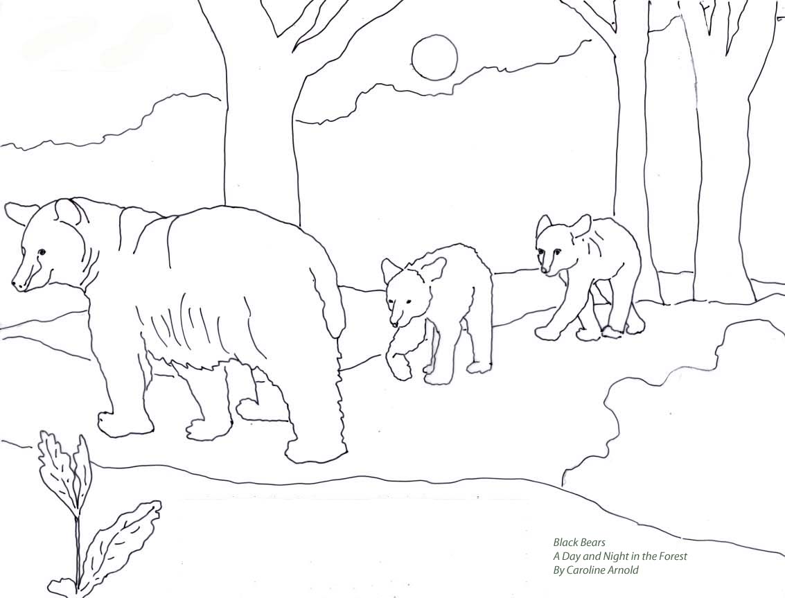 Forest Coloring Page
