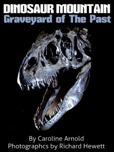 Dinosaur Mountain