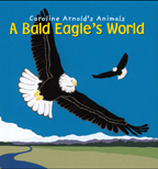 A Bald Eagle's World