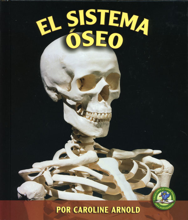 El Sistema Oseo