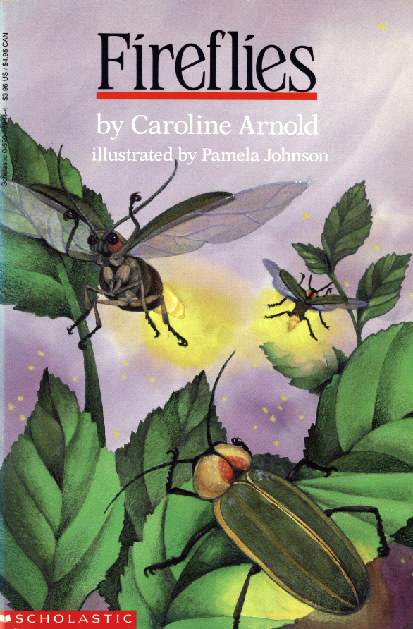 Fireflies