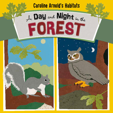A DAY AND NIGHT IN THE FOREST