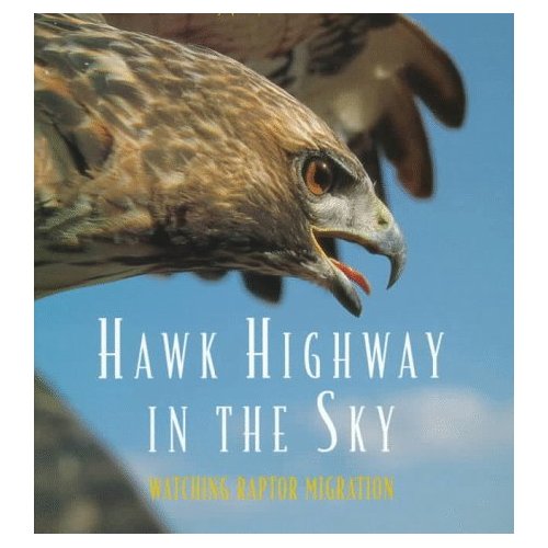 Hawk Highway in the Sky: Watching Raptor Migration