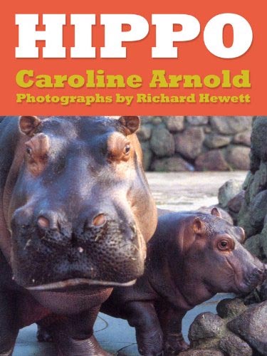 Hippo
