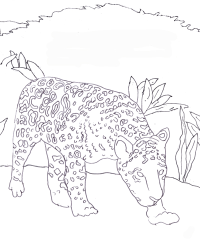 Jaguar Coloring Page
