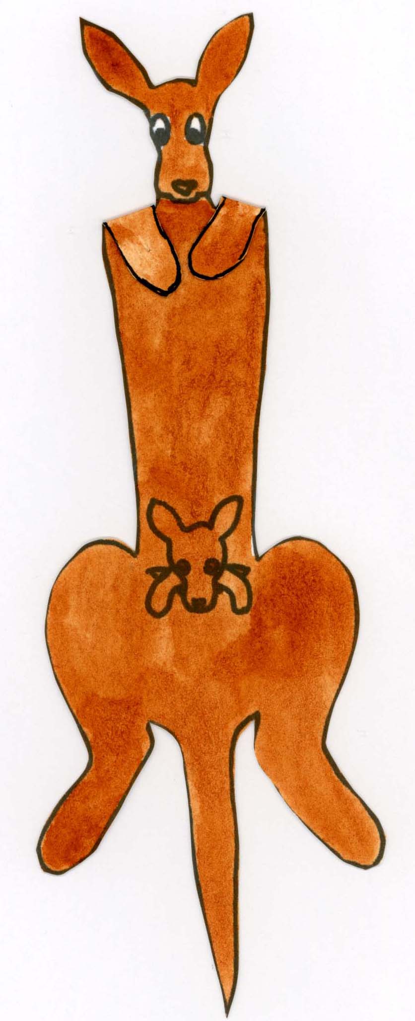 A Kangaroo's World