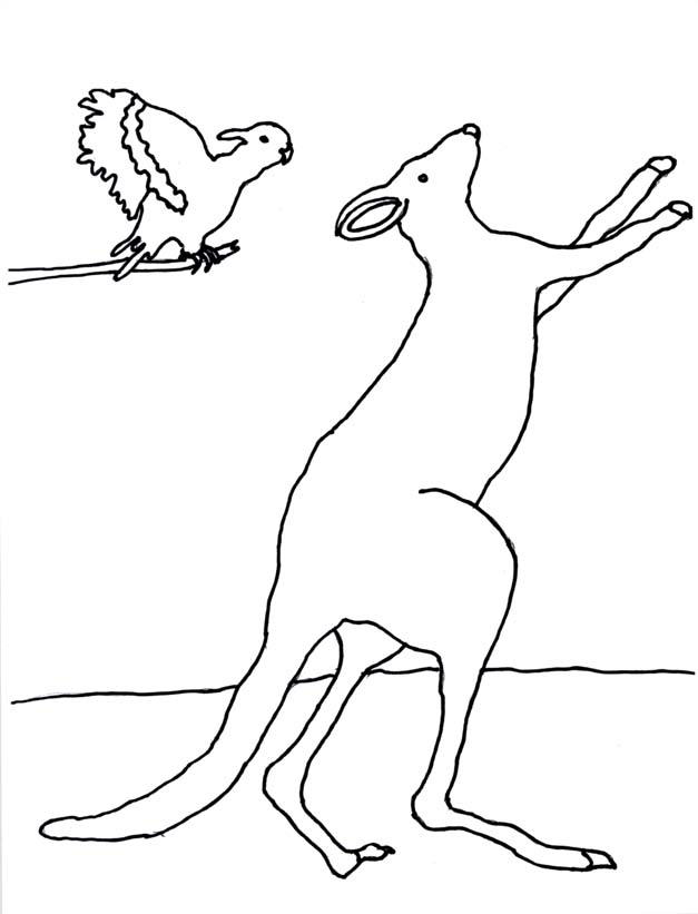 A Kangaroo's World