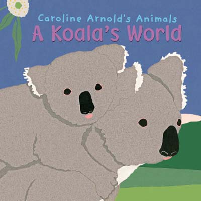A Koala's World
