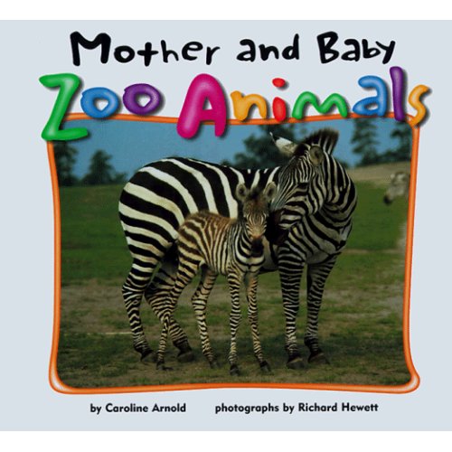 Mother and Baby Zoo Animals