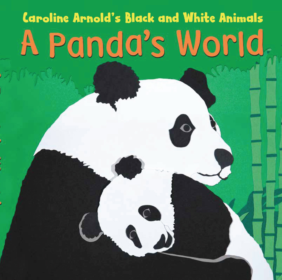A Panda's World