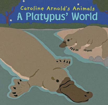 A Platypus' World 