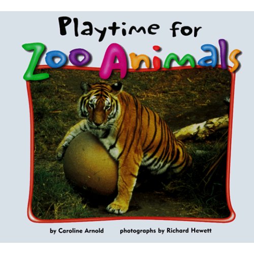 Playtime for Zoo Animals