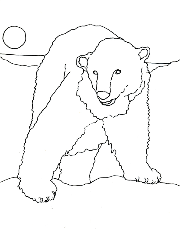 A Polar Bear's World