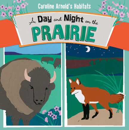 A Day and Night on the Prairie cover