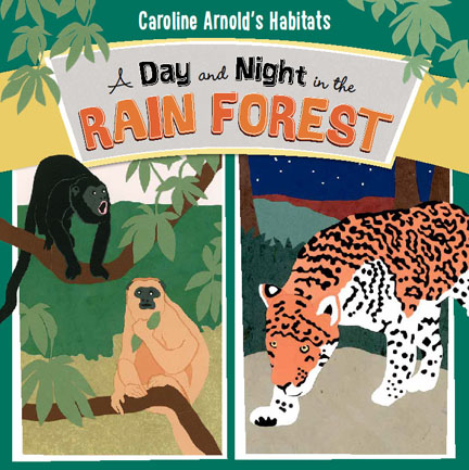 A Day and Night in the Rain Forest cover