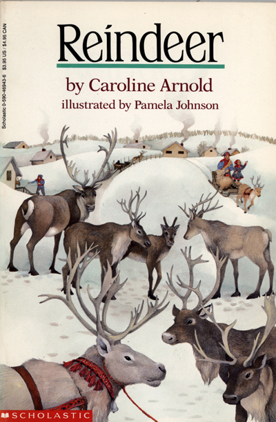 Reindeer