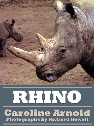 Rhino