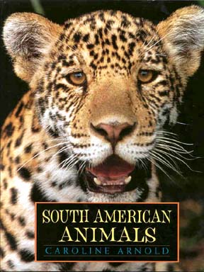 South American Animals