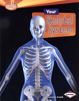 Your Skeletal System