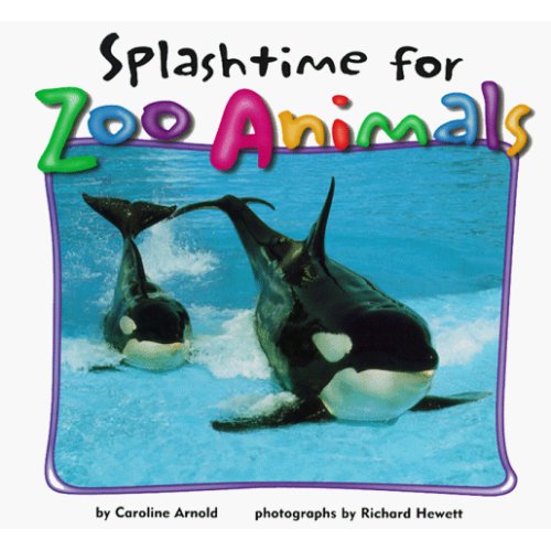 Splashtime for Zoo Animals