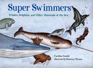 Super Swimmers: Whales, Dolphins, and Other Mammals of the Sea
