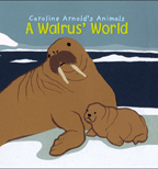 A Walrus' World