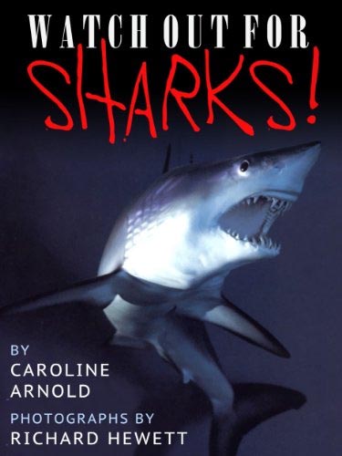 Watch Out for Sharks